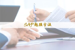 SAP導入方法論サムネイル
